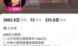 潮汕三哥爆料视频大全,揭秘潮汕风俗与文化