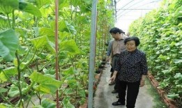 揭秘网红吃瓜是真的吗知乎,真相还是炒作？